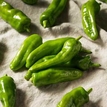 Melrose Hot Pepper Seeds - The Pepper Pantry (Formerly Marie Sharp's)